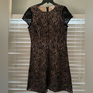 Ann Taylor LOFT Lace Dress